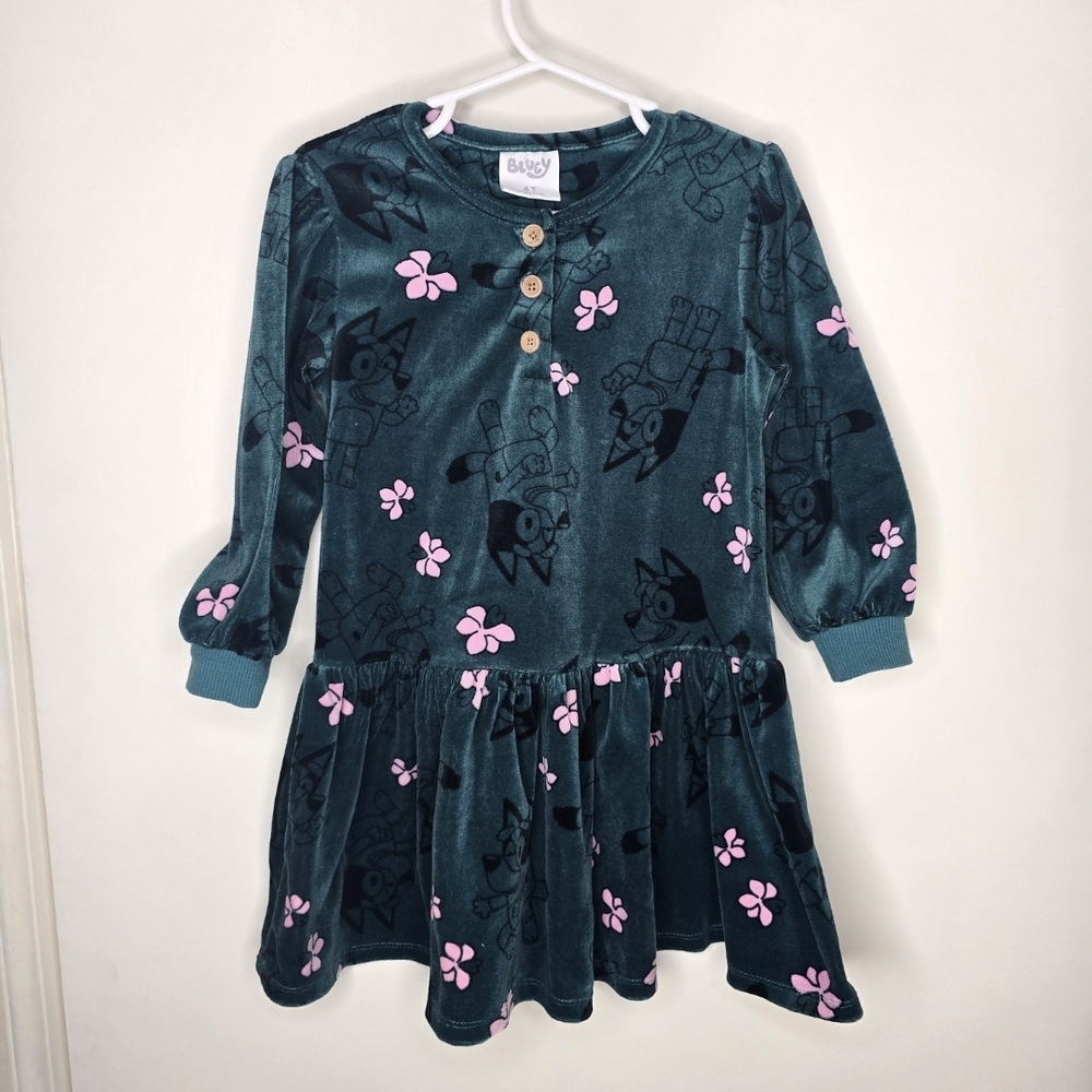Charming Bluey Green and Pink Kids Velour Casual Dress 4T